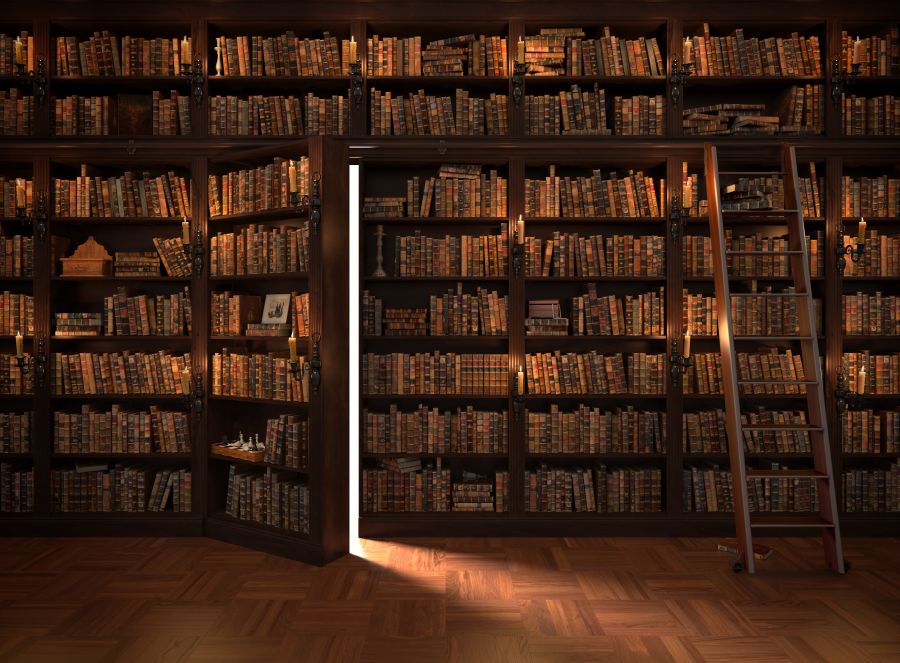 Картина на холсте Книжный шкаф, арт hd1586801